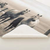 Couverture Sherpa Quart De Chevaux Sur Les Prairies Canadiennes (3/4)