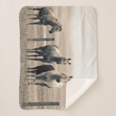 Couverture Sherpa Quart De Chevaux Sur Les Prairies Canadiennes (Devant)
