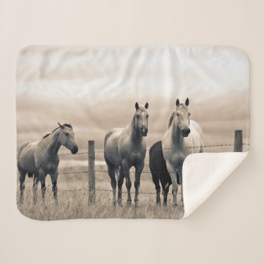 Couverture Sherpa Quart De Chevaux Sur Les Prairies Canadiennes (Devant (Horizontal))