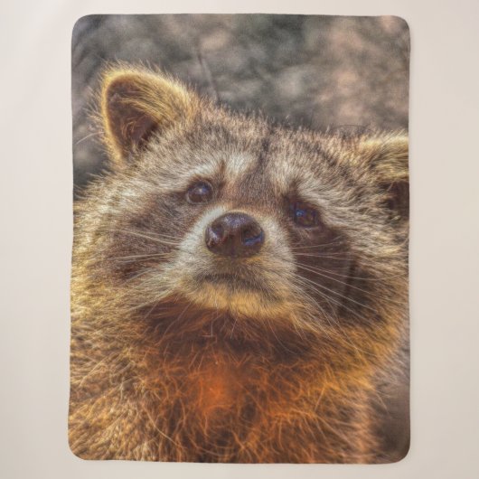 Couverture Sherpa Raccoon peint (Devant)