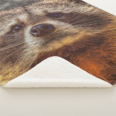 Couverture Sherpa Raccoon peint (3/4)