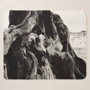 Couverture Sherpa Racines d'arbre noir et blanc