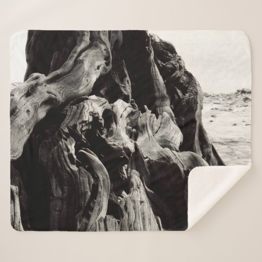 Couverture Sherpa Racines d'arbre noir et blanc (Devant (Horizontal))