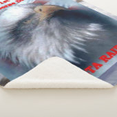Couverture Sherpa RAIDERS DELTA avec AAGLE (3/4)
