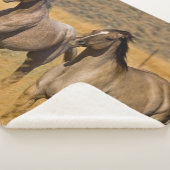 Couverture Sherpa Ranch Living at The Ponderosa Ranch (3/4)