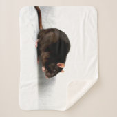 Couverture Sherpa Rat sbcnm (Devant)