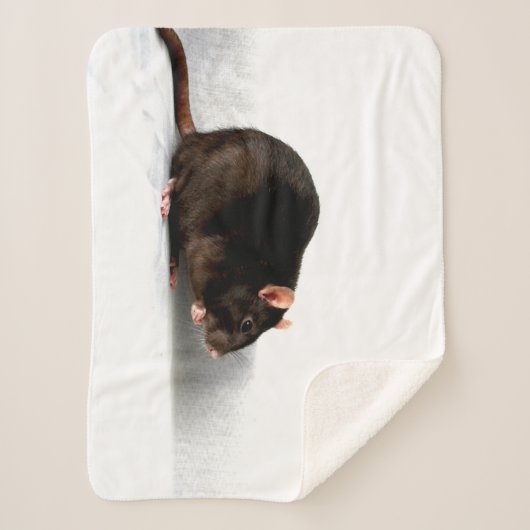 Couverture Sherpa Rat sbcnm (Devant)