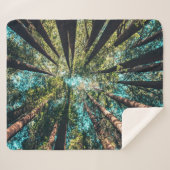 COUVERTURE SHERPA RECHERCHE (Devant (Horizontal))