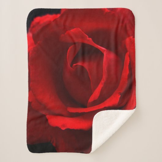 Couverture Sherpa Red Rose sbcna (Devant)