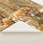 Couverture Sherpa Réflexion du tigre (3/4)