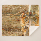 Couverture Sherpa Réflexion du tigre (Devant (Horizontal))