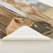 Couverture Sherpa Règles de responsabilité (3/4)