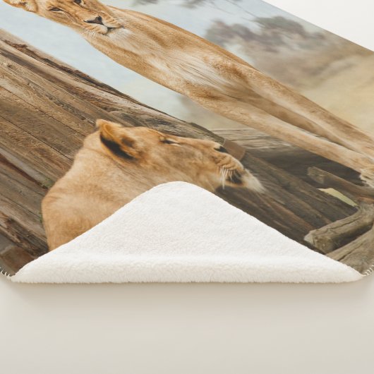 Couverture Sherpa Règles de responsabilité (3/4)