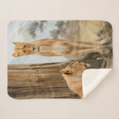 Couverture Sherpa Règles de responsabilité (Devant (Horizontal))