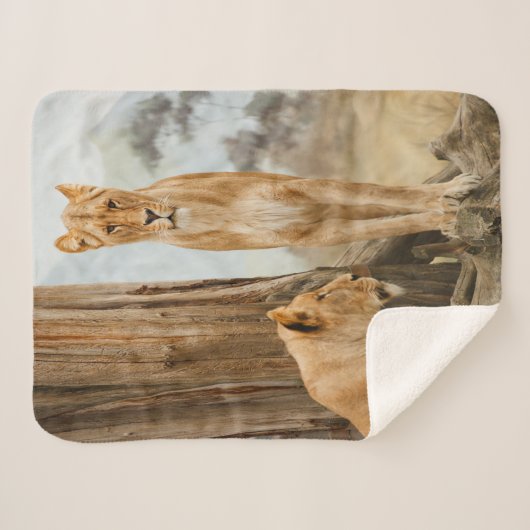 Couverture Sherpa Règles de responsabilité (Devant (Horizontal))