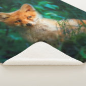 Couverture Sherpa Renard rouge (3/4)