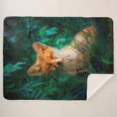 Couverture Sherpa Renard rouge (Devant (Horizontal))