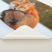 Couverture Sherpa Renard Rouge En Neige | Yukon (3/4)