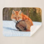 Couverture Sherpa Renard Rouge En Neige | Yukon (Devant (Horizontal))