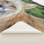 Couverture Sherpa Renard sauvage (3/4)