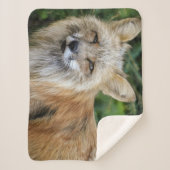 Couverture Sherpa Renard sauvage (Devant)