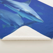 COUVERTURE SHERPA REQUINS BLEUS (3/4)