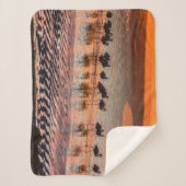 Couverture Sherpa Réserve nationale de faune andine Eduardo Abaroa (Devant)