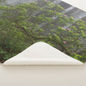 Couverture Sherpa Rhododendron dans le parc national Redwood en Cali (3/4)