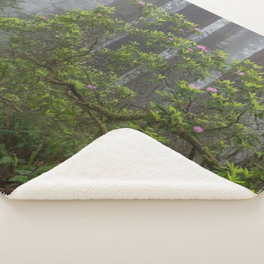 Couverture Sherpa Rhododendron dans le parc national Redwood en Cali (3/4)