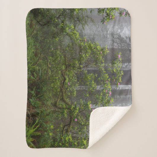 Couverture Sherpa Rhododendron dans le parc national Redwood en Cali (Devant)