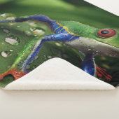 COUVERTURE SHERPA ROG COLORÉ (3/4)