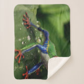 COUVERTURE SHERPA ROG COLORÉ (Devant)