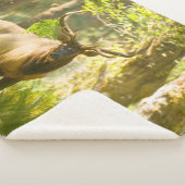 Couverture Sherpa Roosevelt Elk | Parc National Olympique, Washingto (3/4)