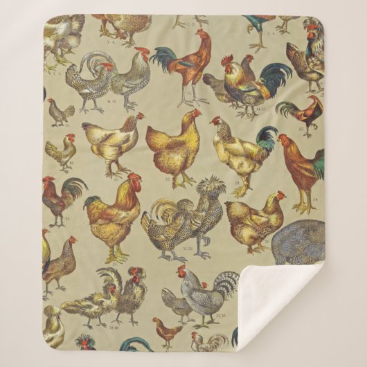 Couverture Sherpa Rooster Poulet de la ferme Pays Animal (Devant)