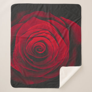Couverture Sherpa Rose rouge sur effet vintage arrière - plan noir