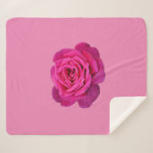 Couverture Sherpa Rose simple rose rose (Devant (Horizontal))