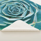 Couverture Sherpa Rosette d'Echeveria, Jardin Secret de Marrakech (3/4)
