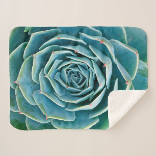 Couverture Sherpa Rosette d'Echeveria, Jardin Secret de Marrakech (Devant (Horizontal))