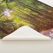 Couverture Sherpa Route humide à travers les arbres verts à l'automn (3/4)