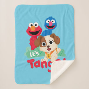 Couverture Sherpa Rue Sésame C'est Tango avec Elmo & Grover