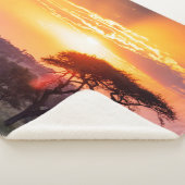 Couverture Sherpa Safari dans le Parc National du Serengeti (3/4)