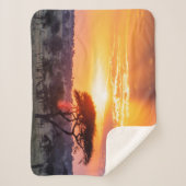 Couverture Sherpa Safari dans le Parc National du Serengeti (Devant)