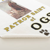 COUVERTURE SHERPA SAINT ROCH (3/4)