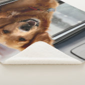 Couverture Sherpa Salut (3/4)