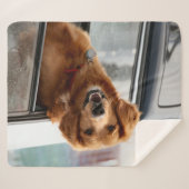 Couverture Sherpa Salut (Devant (Horizontal))