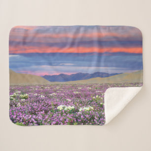 Couverture Sherpa Sand Verbena et fleurs sauvages de Dune Primrose a