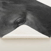 Couverture Sherpa Sbcna de cheval (3/4)