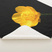 Couverture Sherpa Sbcna fleur de tasse-beurre (3/4)