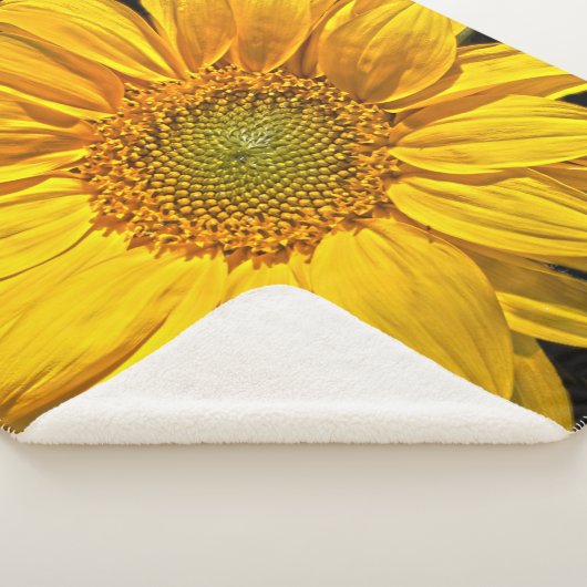 Couverture Sherpa Sbcnm (3/4)