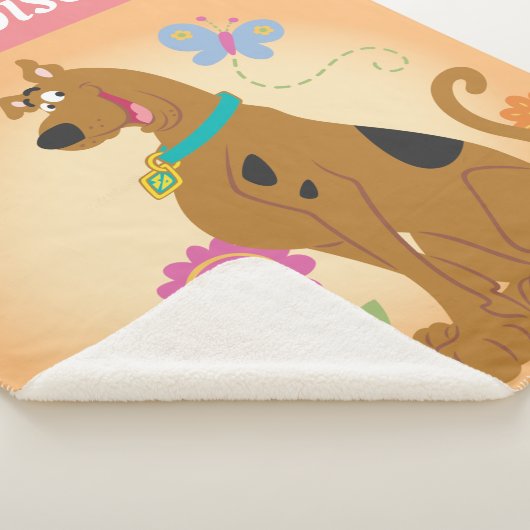 Couverture Sherpa Scooby-Doo Après Papillon (3/4)